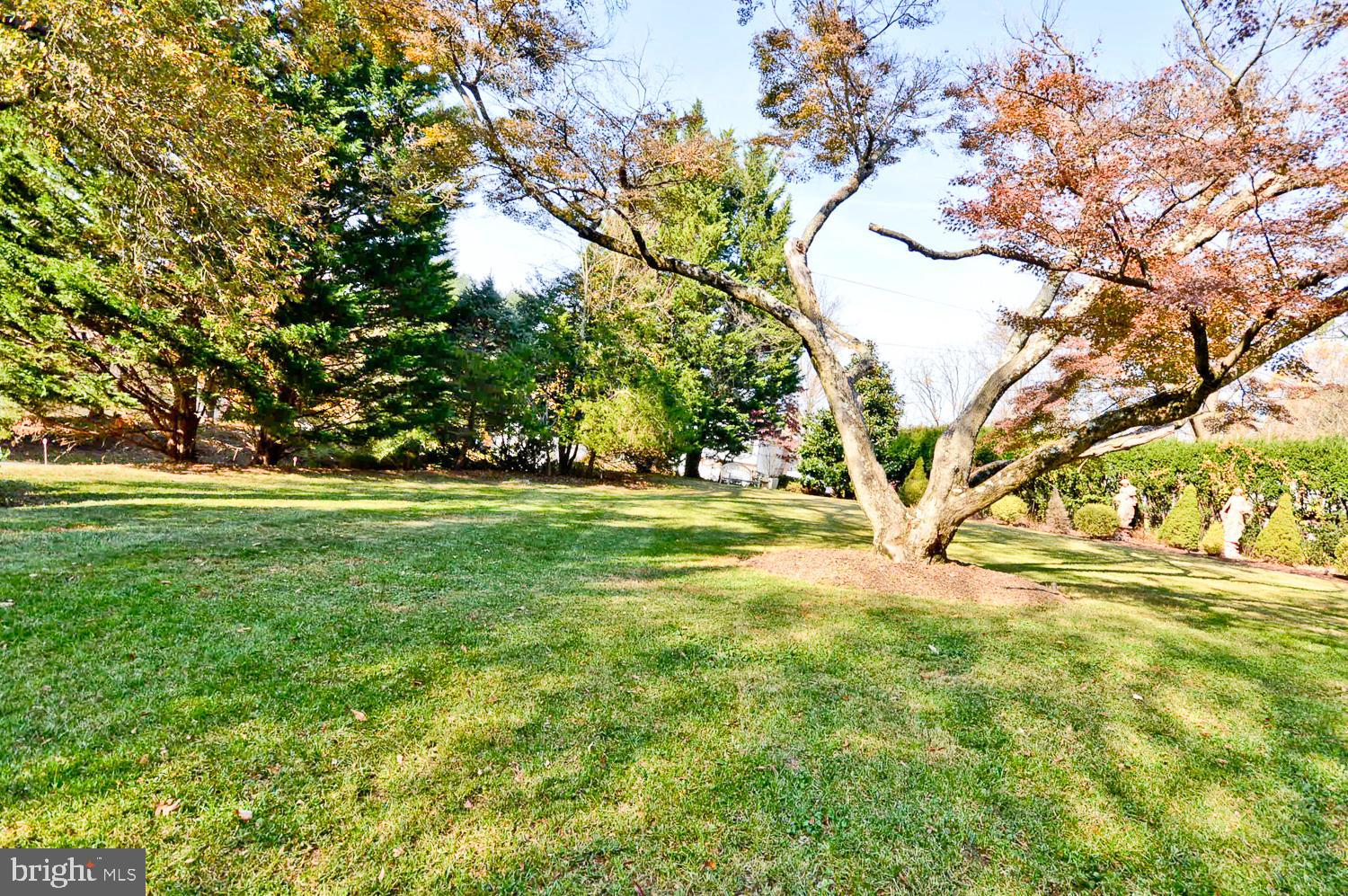 MIDDLEBRIDGE - Residential