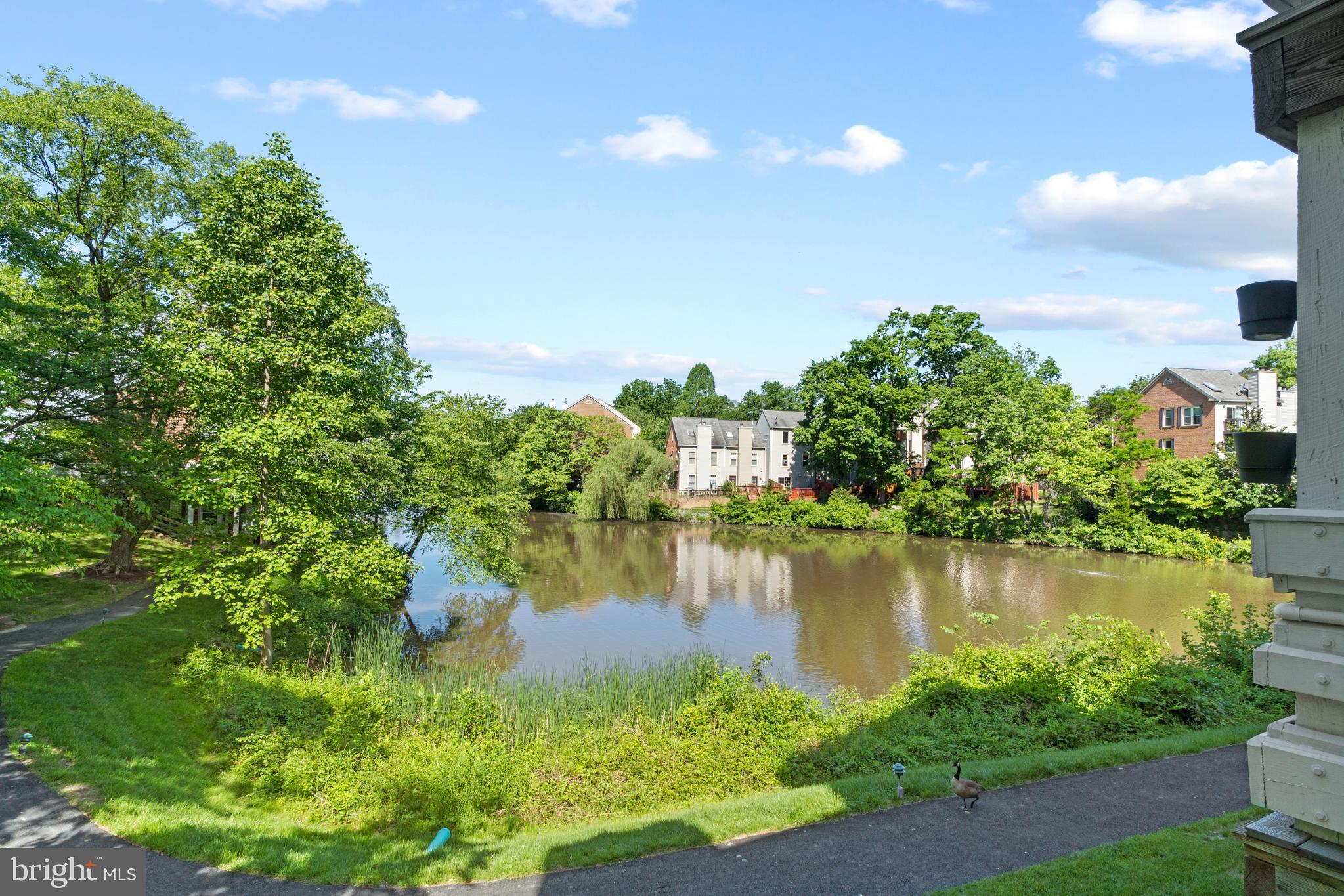 THE COVE - Residential