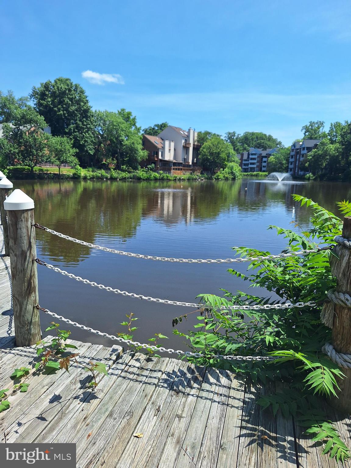 THE COVE - Residential