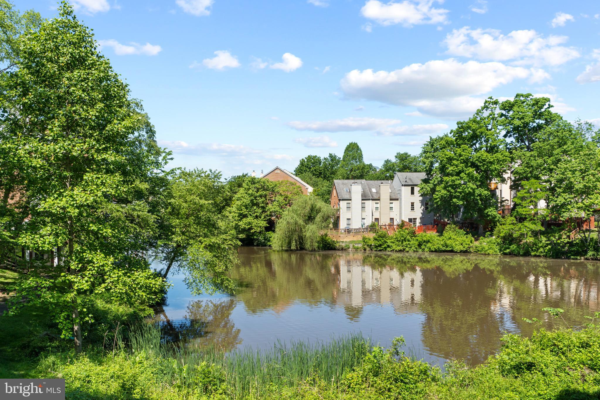 THE COVE - Residential