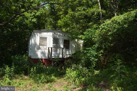 Vacant Land For Sale - 596 Back Creek Road<br/> GORE, VA 22637