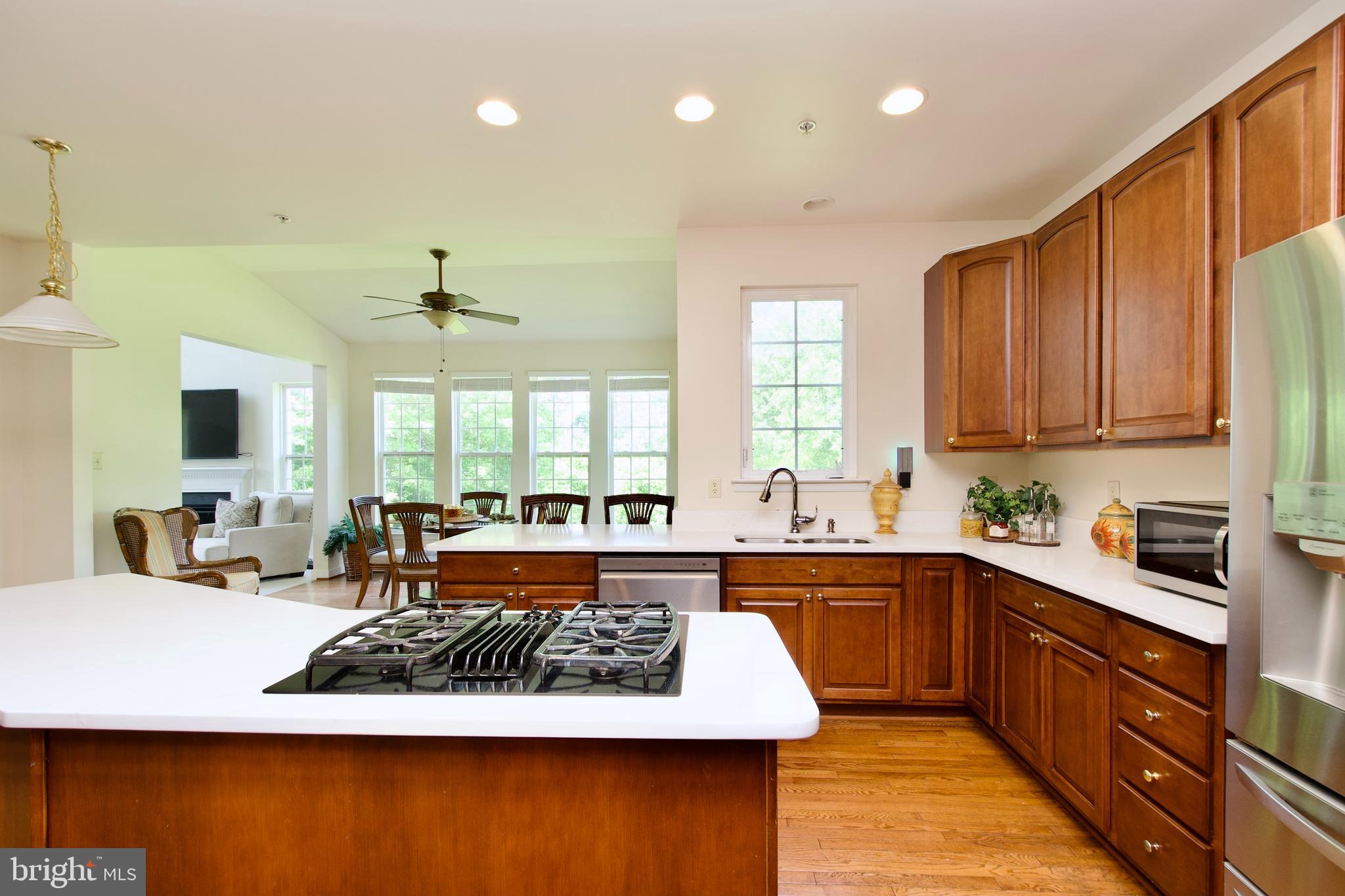 SUN VALLEY ESTATES - Residential