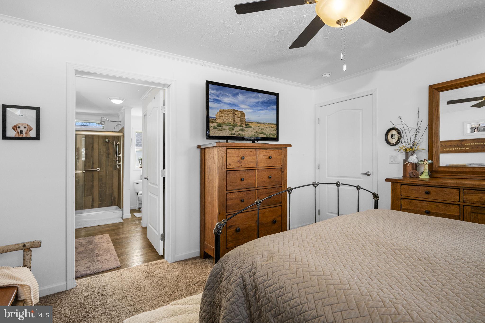 CINNAMON WOODS - Residential