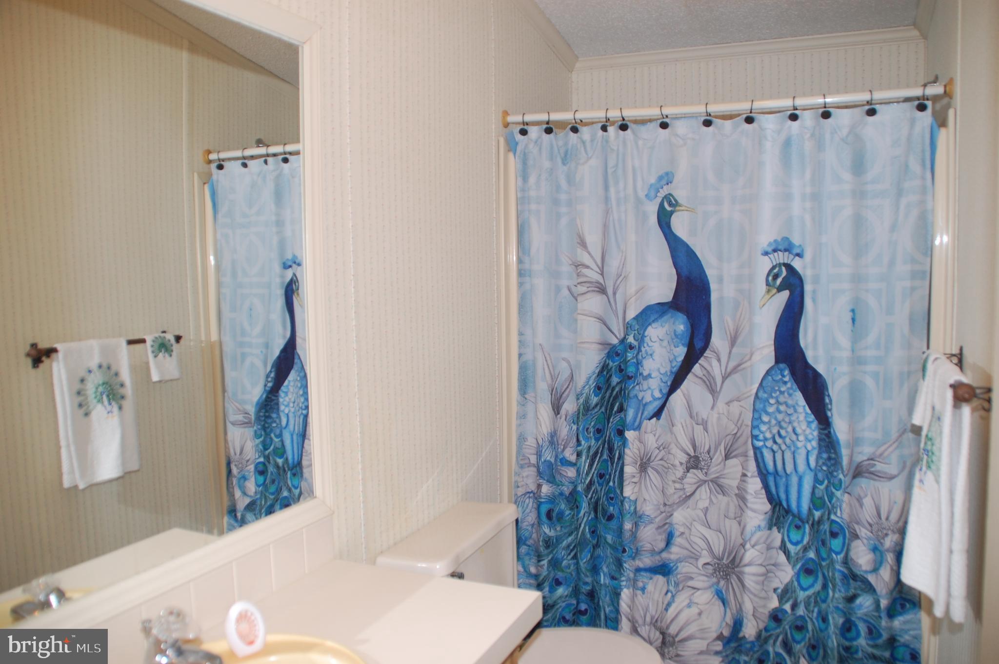 HIDDEN SPRINGS - Residential