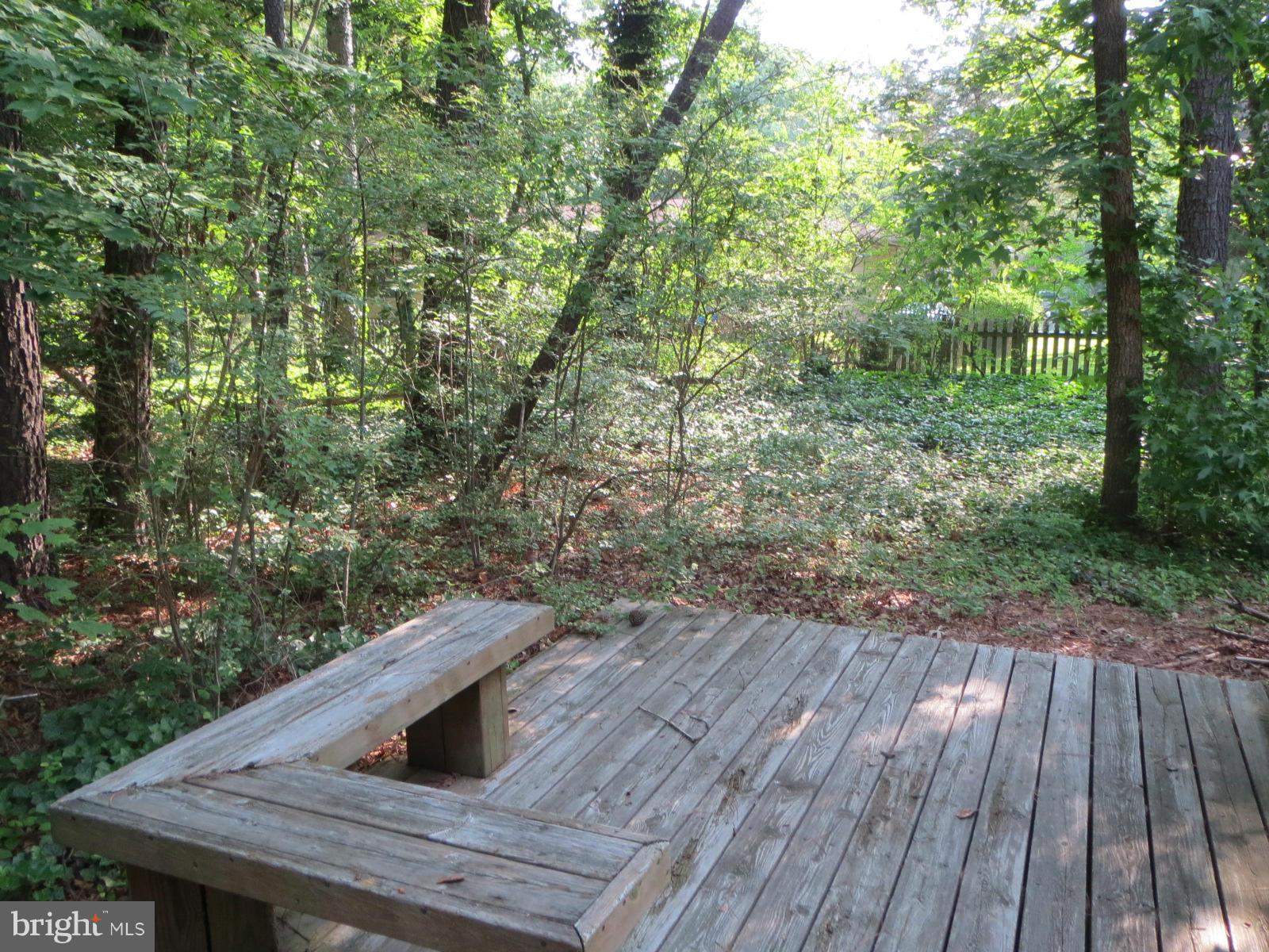 CEDAR COVE - Residential Lease