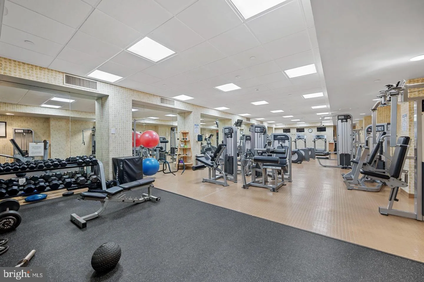 Philadelphia, Pennsylvania 19130, United States, 1 Bedroom Bedrooms, ,1 BathroomBathrooms,Residential,Active,94038