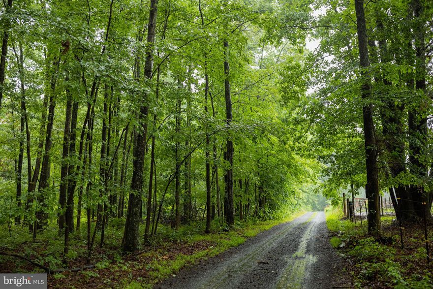 GREAT LOCATION 2 Acre lot in Fauquier County with seclusion but only 2.5 miles to Vint Hill and 6 miles to Gainesville. 3 Bed CONVENTIONAL perc (could be larger if alternate system) completed in early 2020. See docs for more info. High-Speed Internet, private road, NO HOA. Pics coming.