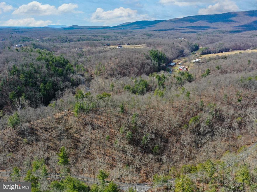 Beautiful land with lots of character! Dreaming of your own piece of WV for hunting, recreation, a weekend retreat, or to build your full time residence on? This could be it! Loaded with wildlife, a stream view, and a great balance of elevated areas and interesting topography, you could get lost in your own private, wooded oasis! Potential for timbering, or further subdividing (please check with Berkeley County to learn more about their requirements). Only 30 minutes from Winchester, Berkeley Springs, or Martinsburg, and 2 hours to DC, perfect for a weekend getaway! Come take a look today! Lot is being split, so the portion E of Parsons Rd with water frontage does not convey.