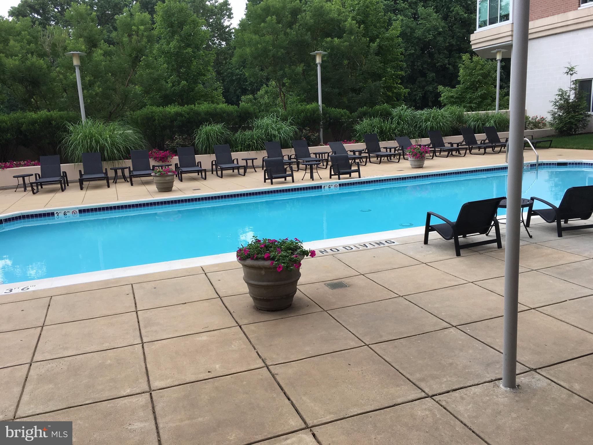 NORTHAMPTON PLACE - Residential Lease