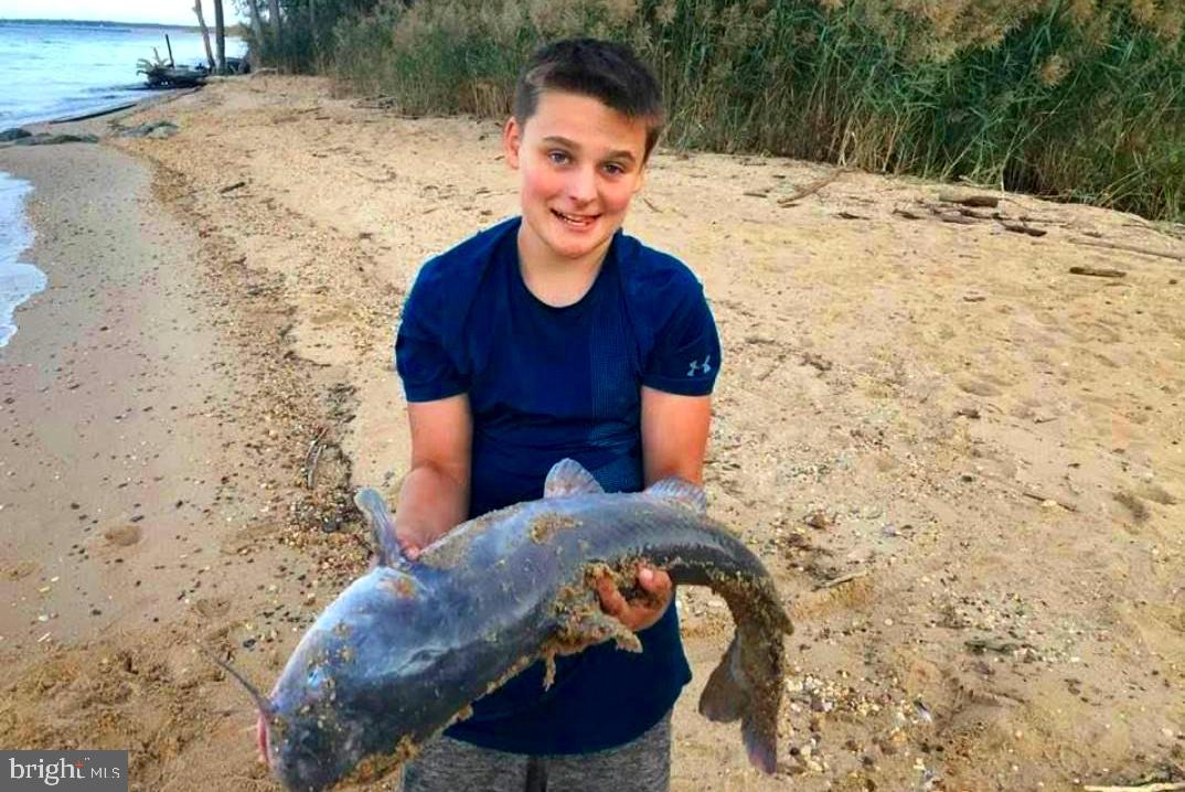 STRATFORD HARBOUR - Residential