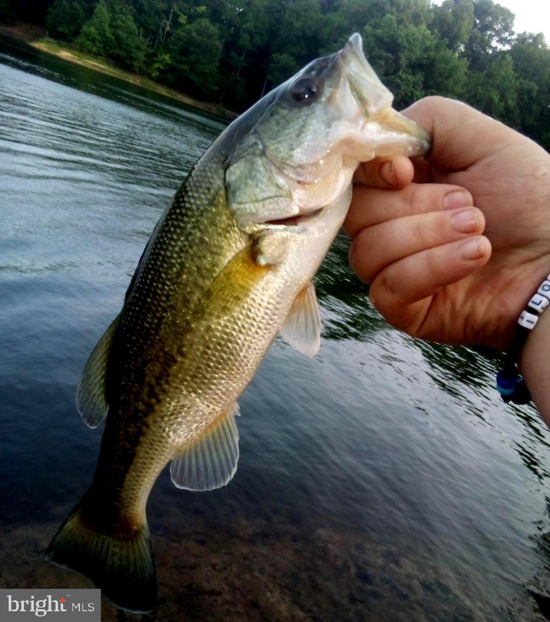 STRATFORD HARBOUR - Residential