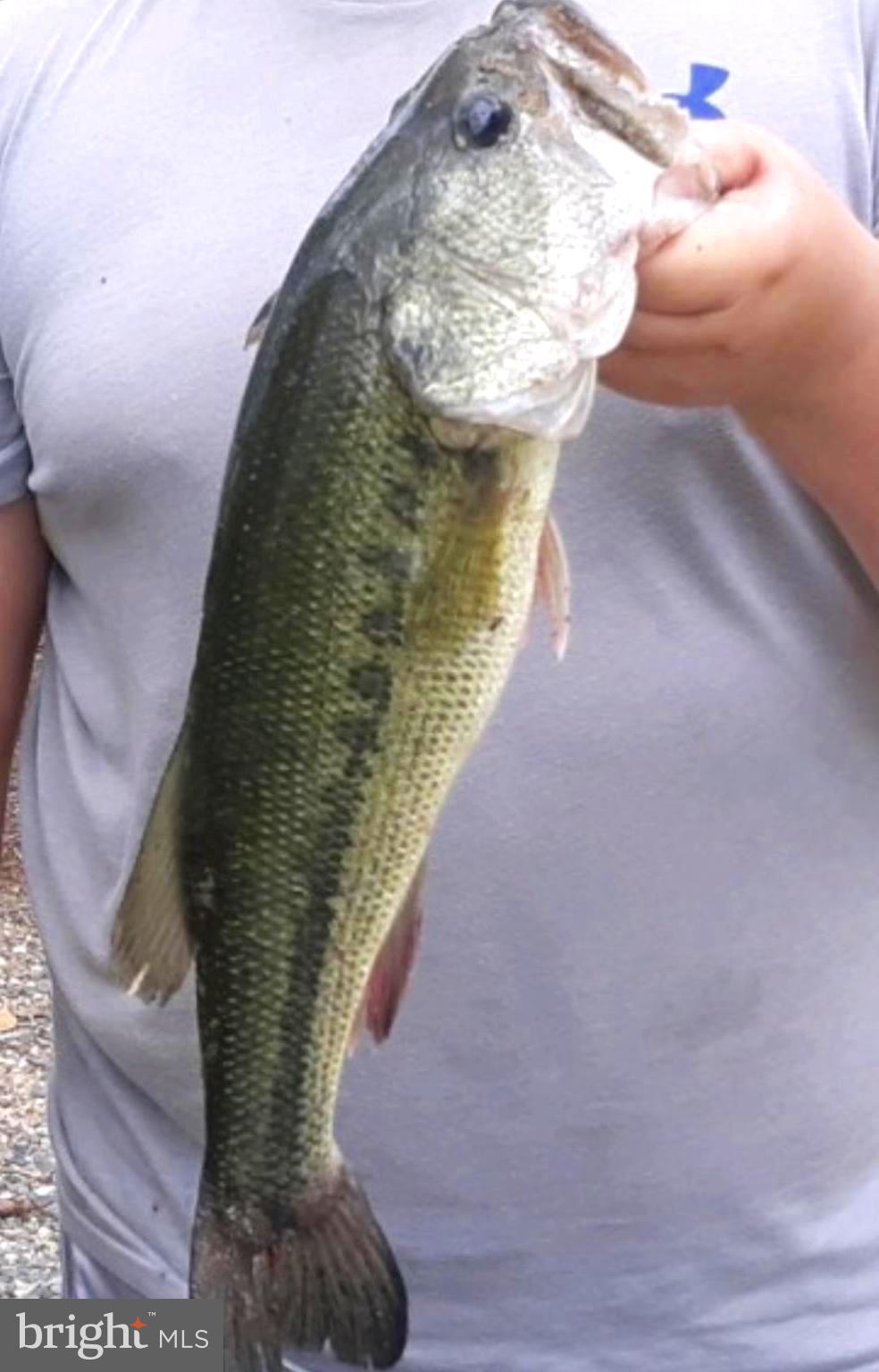 STRATFORD HARBOUR - Residential