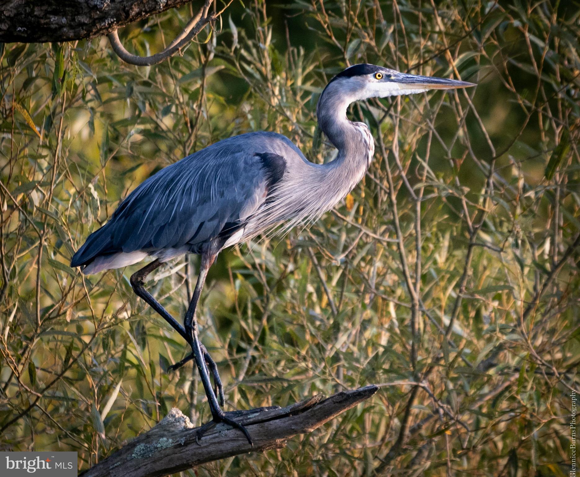 STRATFORD HARBOUR - Residential
