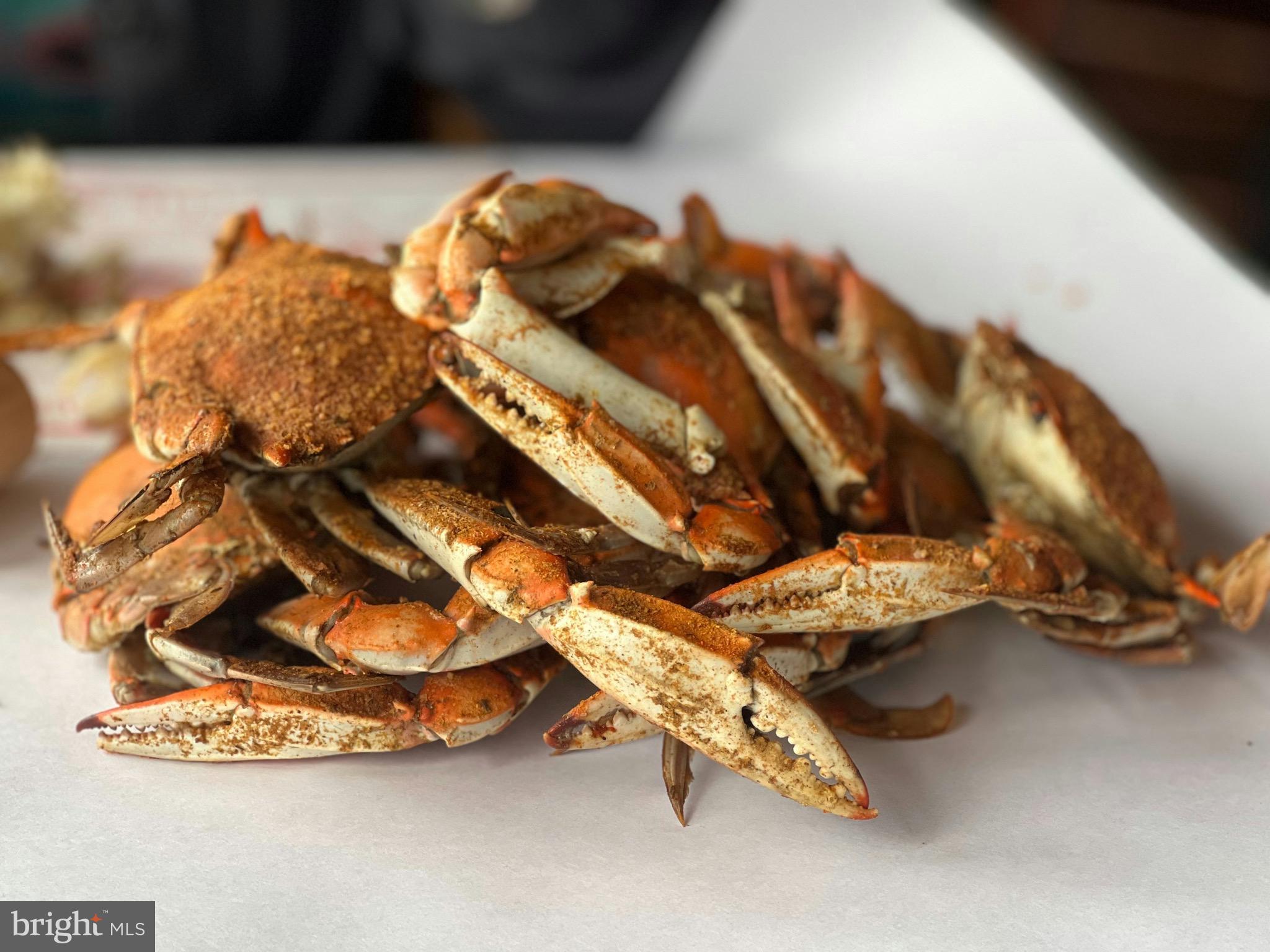 STRATFORD HARBOUR - Residential