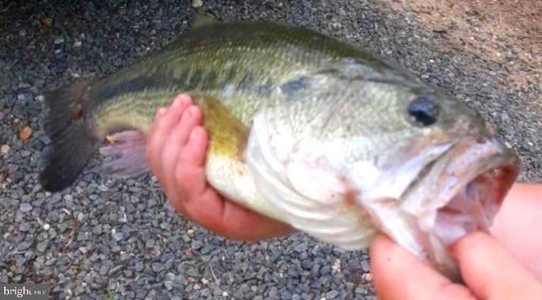 STRATFORD HARBOUR - Residential