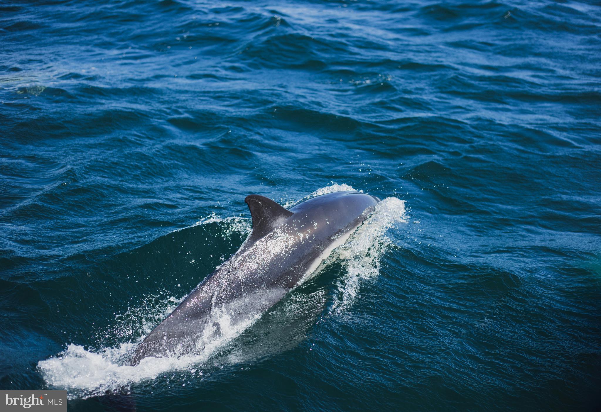 STRATFORD HARBOUR - Residential