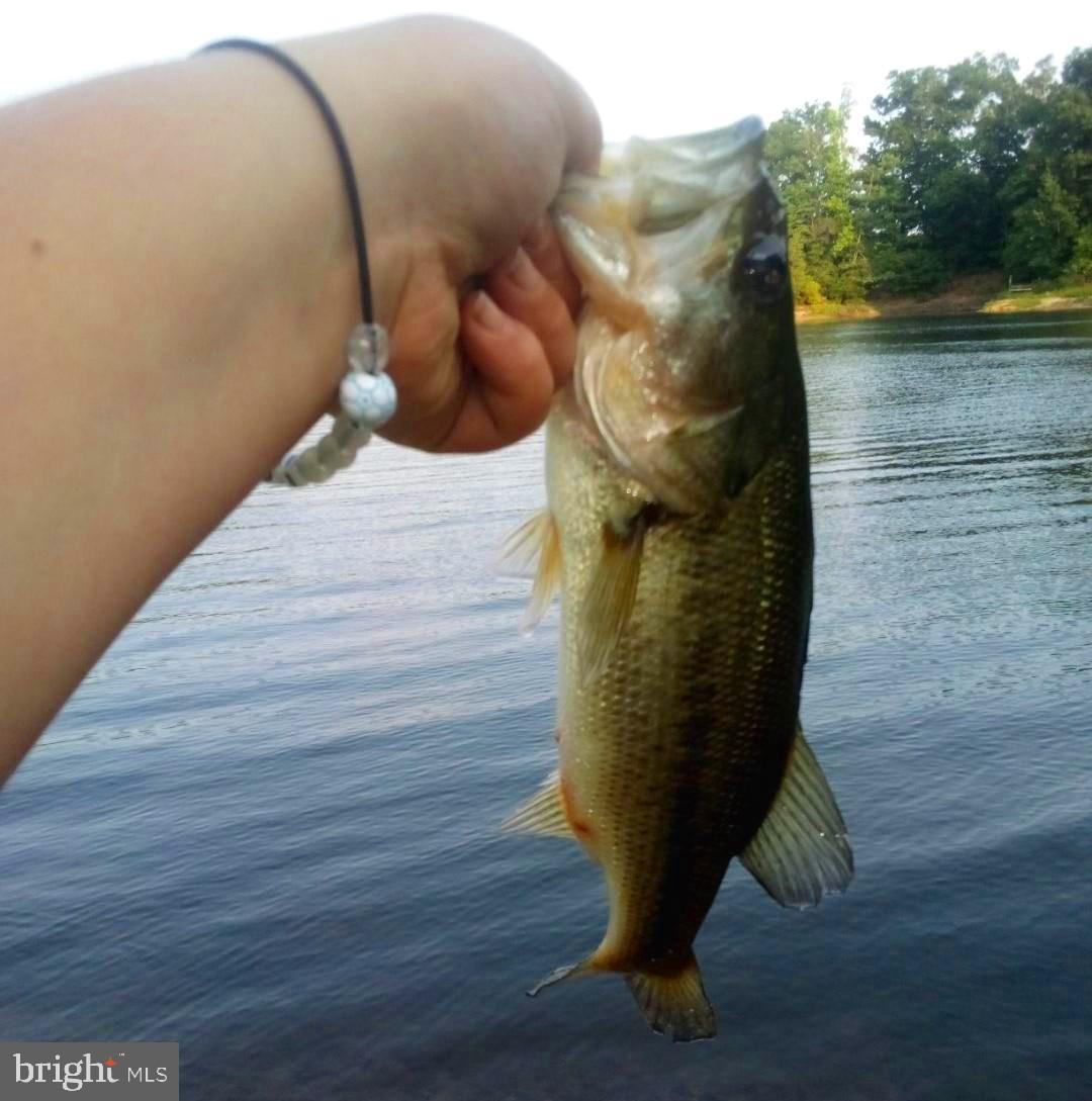 STRATFORD HARBOUR - Residential