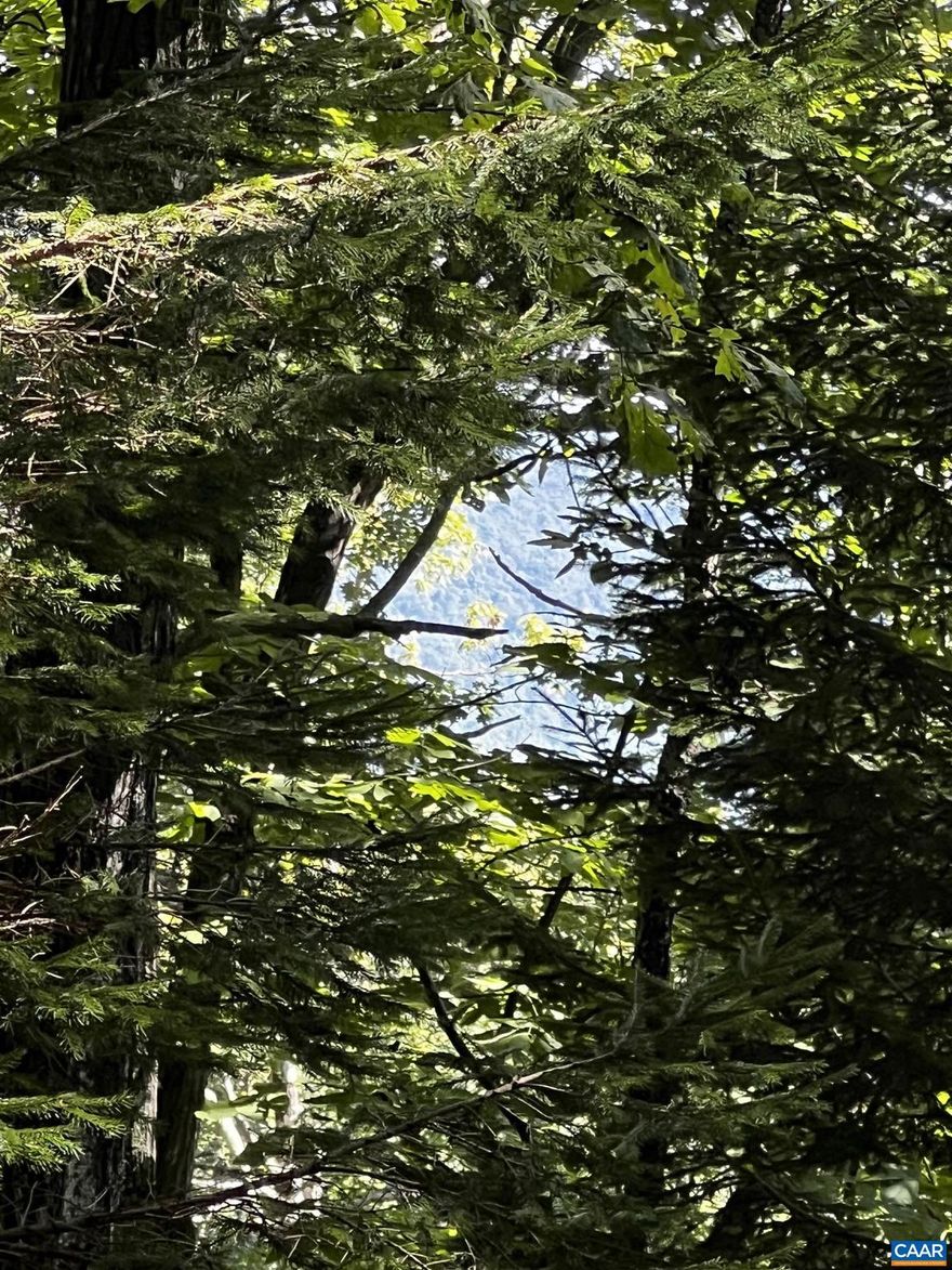 Fantastic wooded homesite with some winter views in Chestnut Springs near the Chestnut Springs Pool & Park, Laurel Springs overlook, and tennis & pickleball facilities. Just a quick jaunt to Fire & Frost, Devils Knob Grill, and Wintergarden pool & spa. Gentle slope allows for easy driveway access and walkout basement. Listen for babbling creek and peace & quiet!