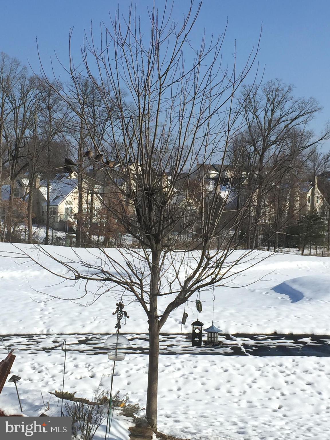 BELMONT COUNTRY CLUB - Residential Lease