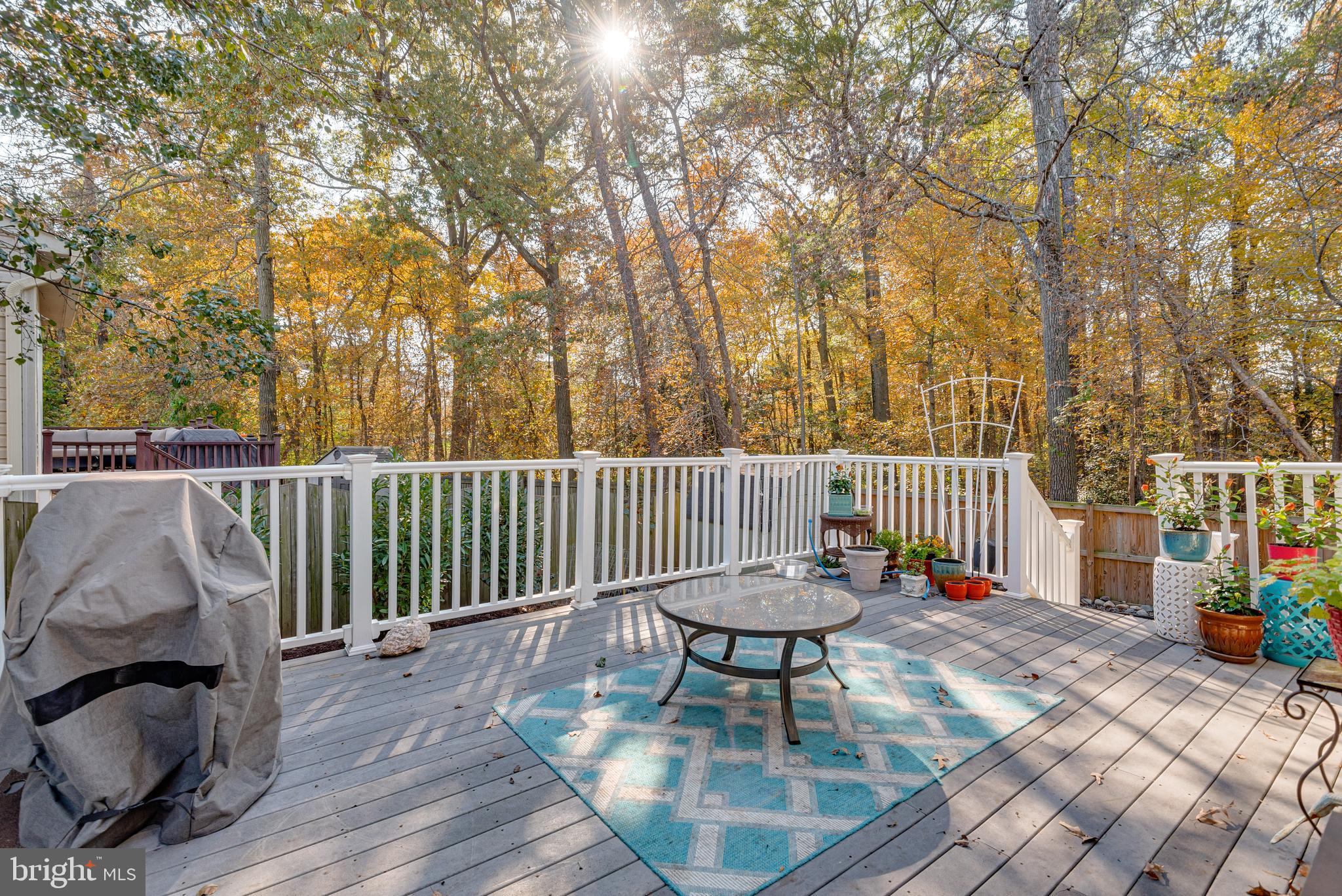 FOX CHASE - Residential