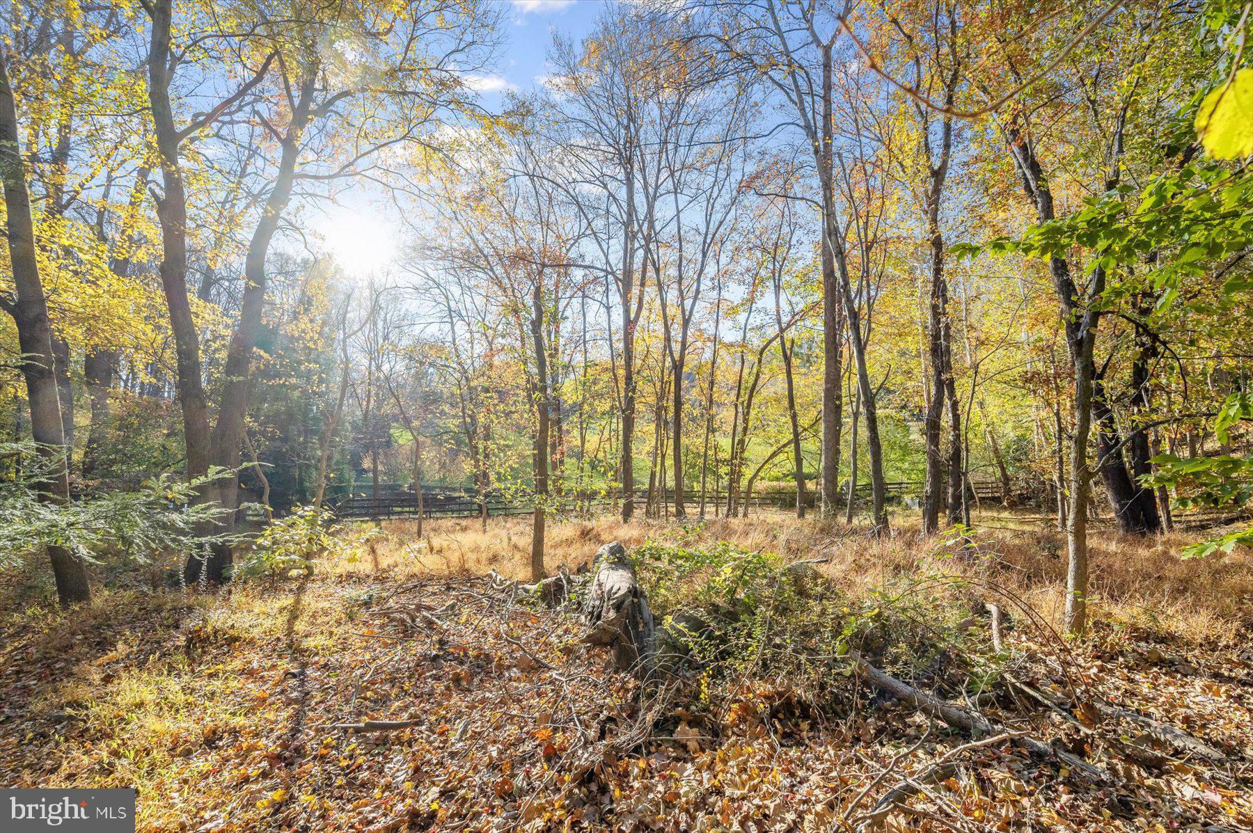 RIVER FALLS - Residential