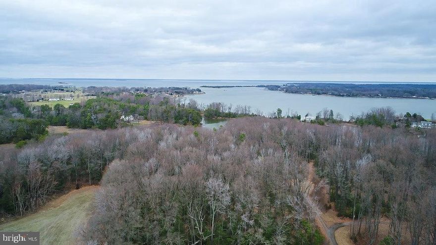1.4 waterfront acres on deep navigable water to the Potomac River with 250 feet of water frontage.  Private and secluded but can be cleared and will make a very nice buildable homesite with beautiful water views.  Build your dream home, bring your boat and jetski's and build your own private dock. 
 Check docs for plat.  No HOA