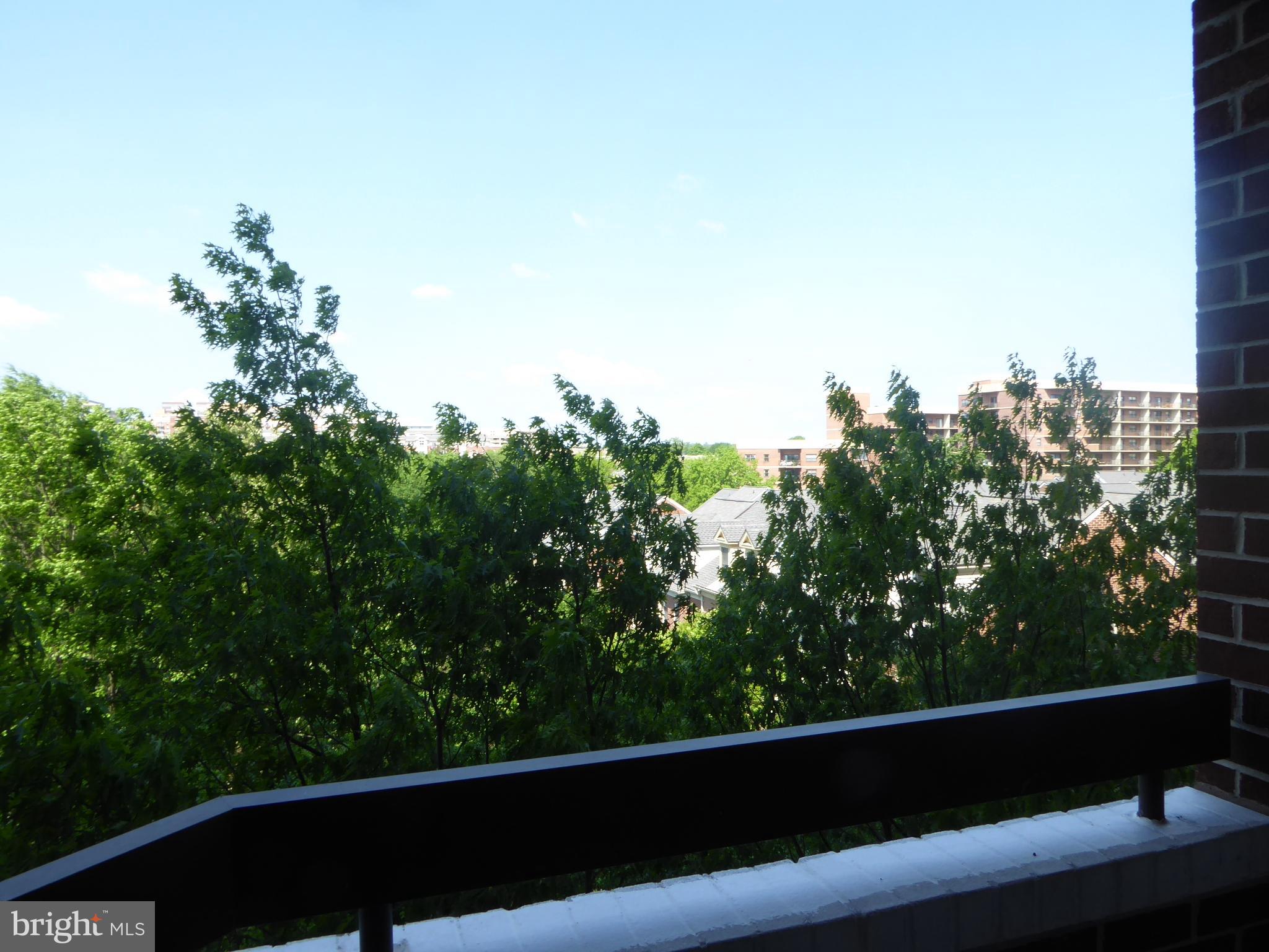 THE WILLIAMSBURG - Residential Lease