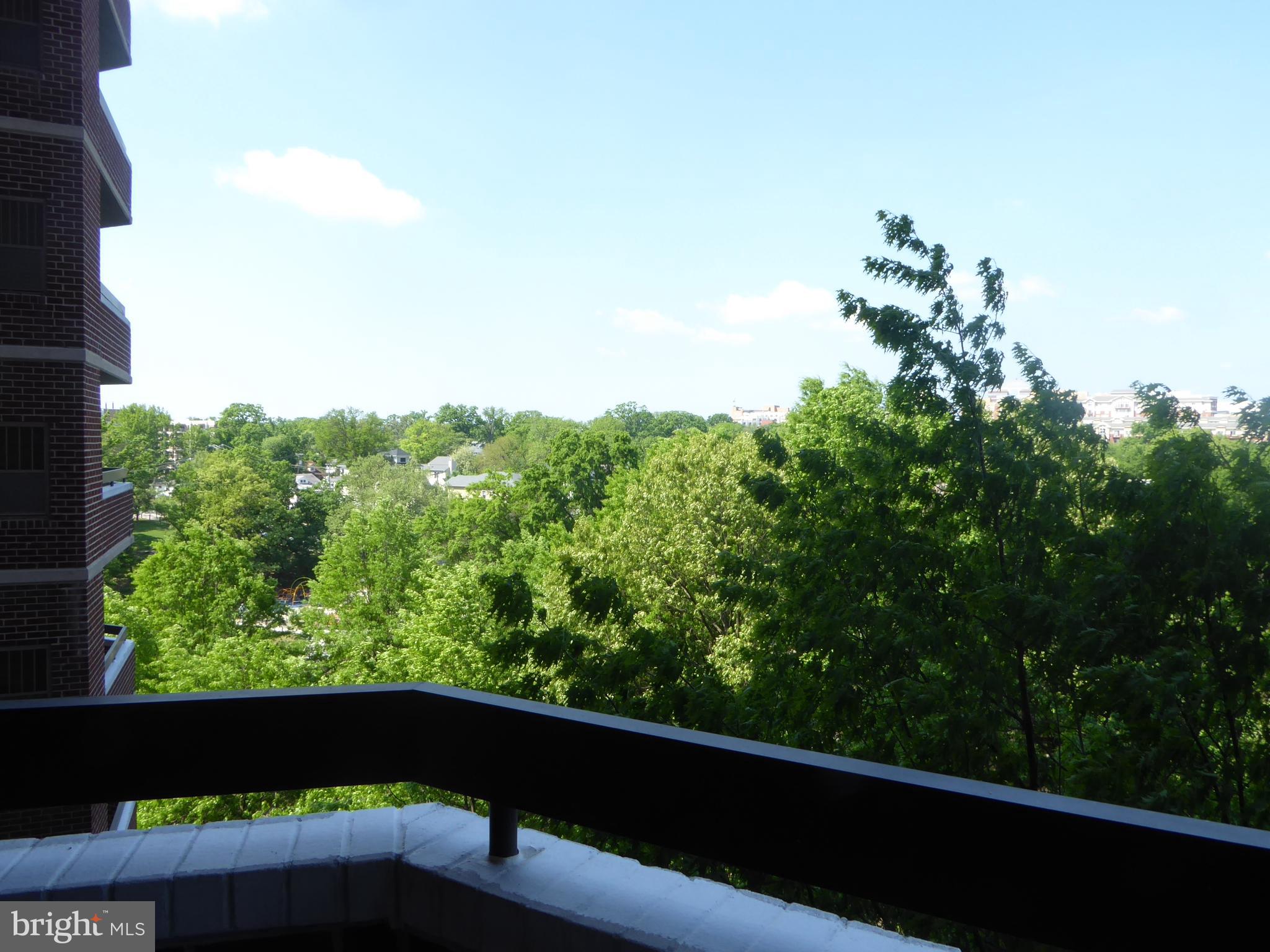 THE WILLIAMSBURG - Residential Lease