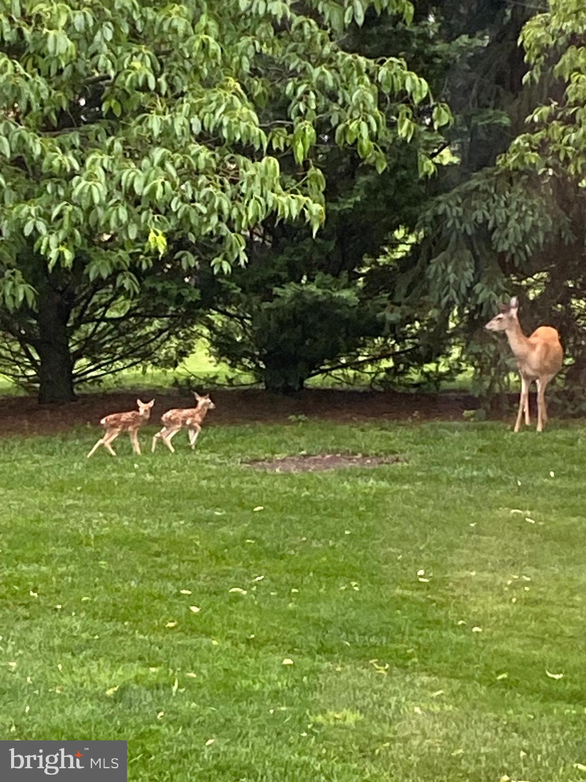 BROOKFIELD ON THE POTOMAC - Residential