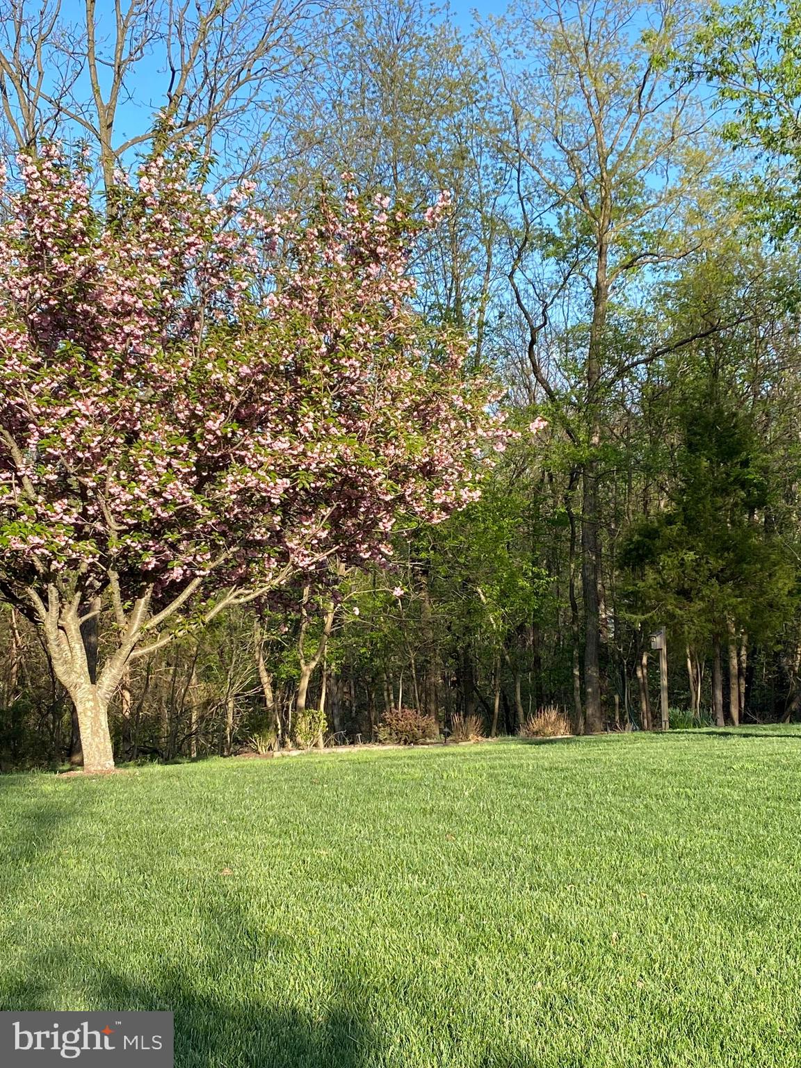 BROOKFIELD ON THE POTOMAC - Residential