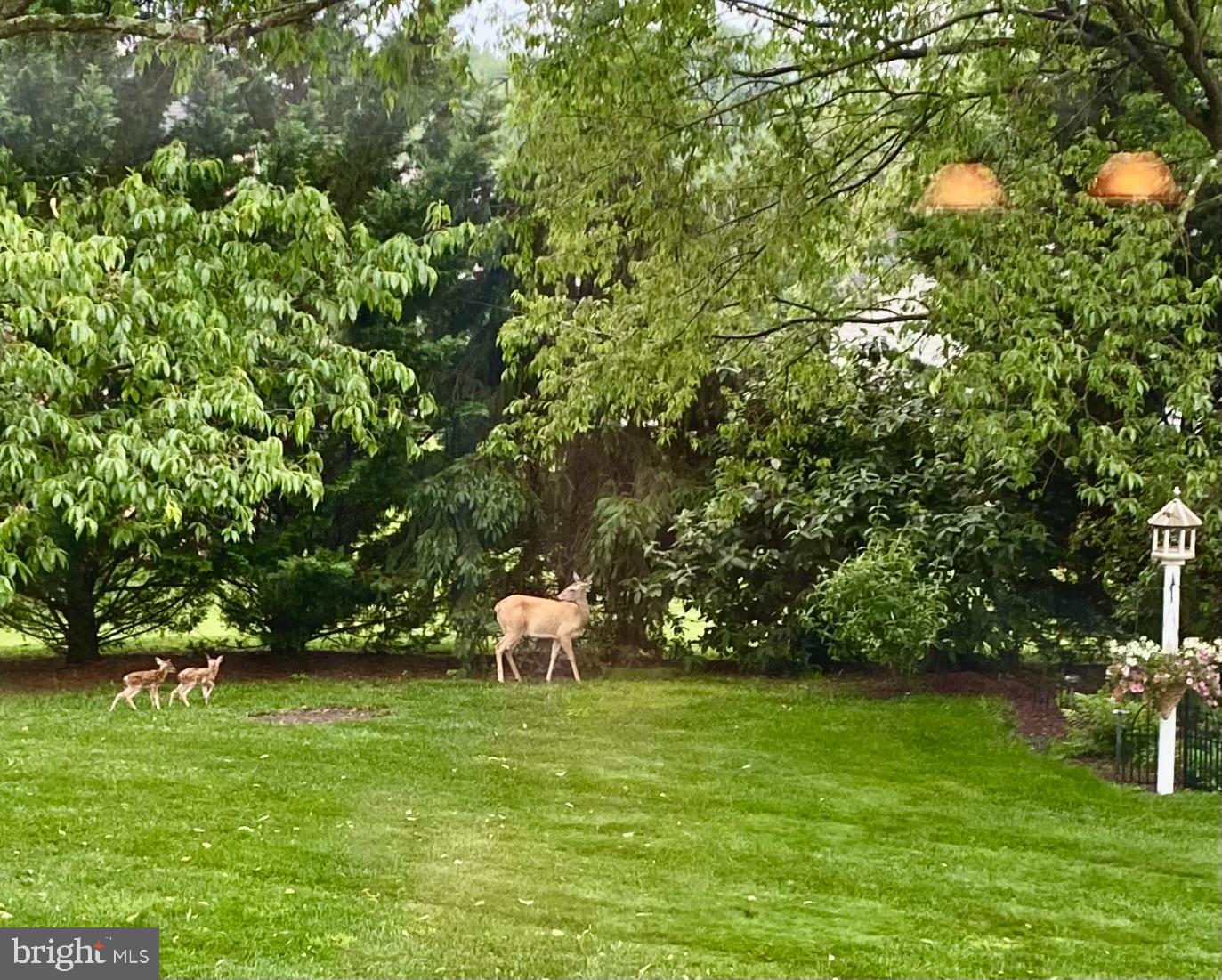 BROOKFIELD ON THE POTOMAC - Residential