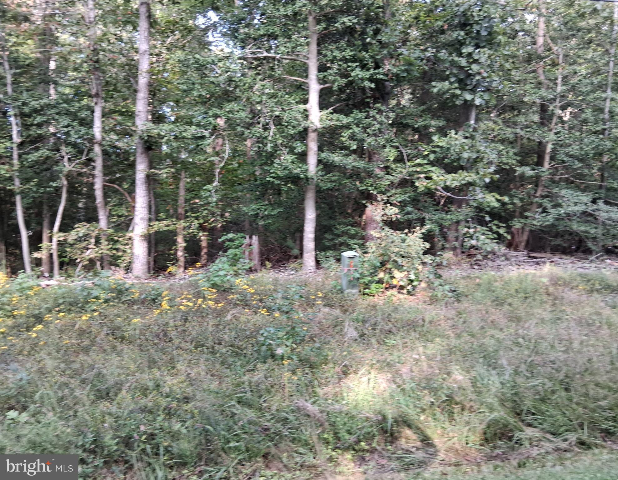 Lot #35 CLOVER COURT