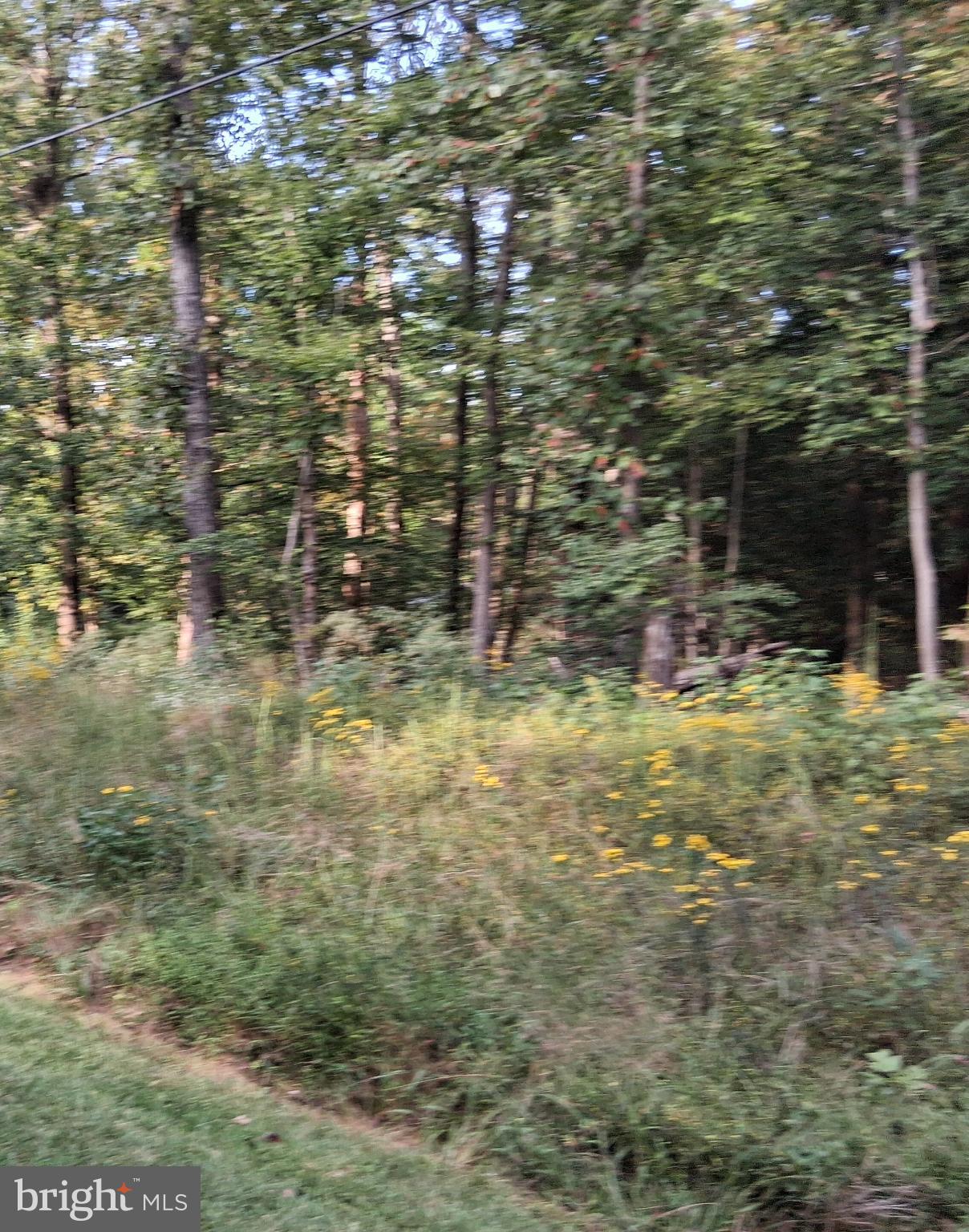 Lot #35 CLOVER COURT