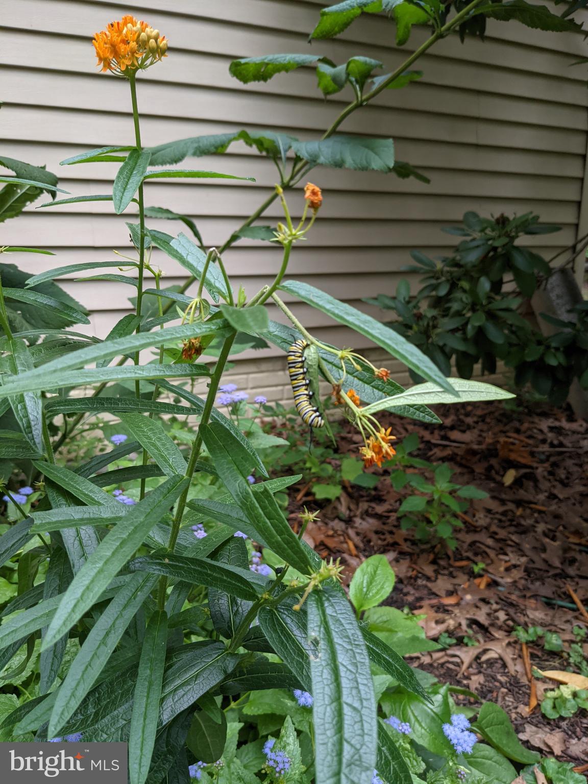 BARKER HILL - Residential