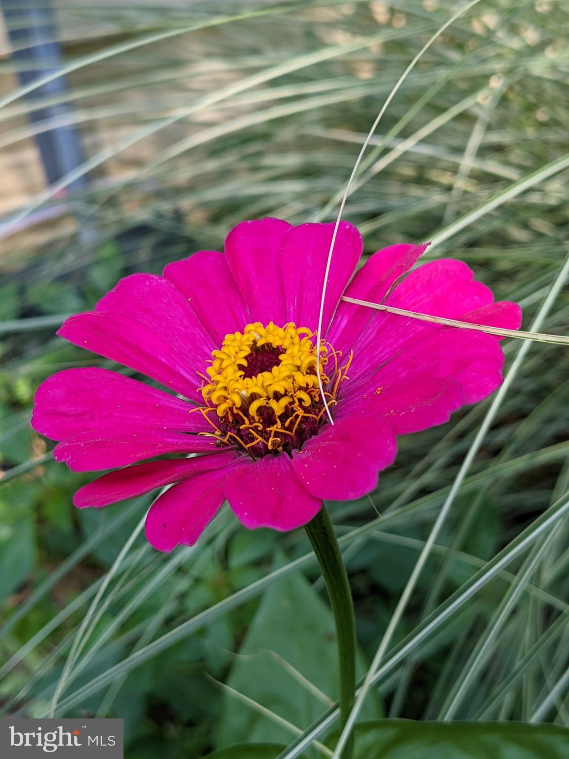 BARKER HILL - Residential