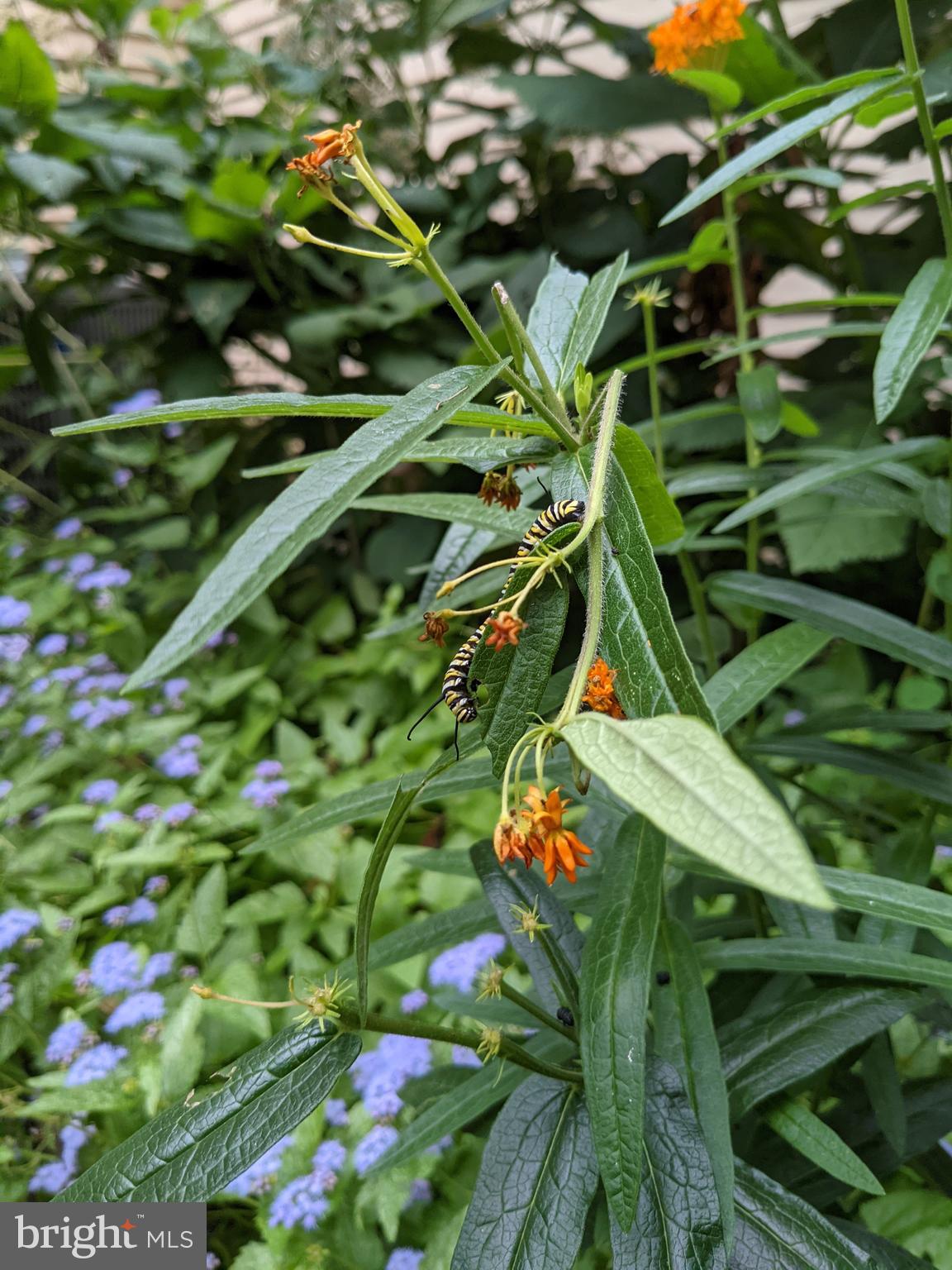BARKER HILL - Residential