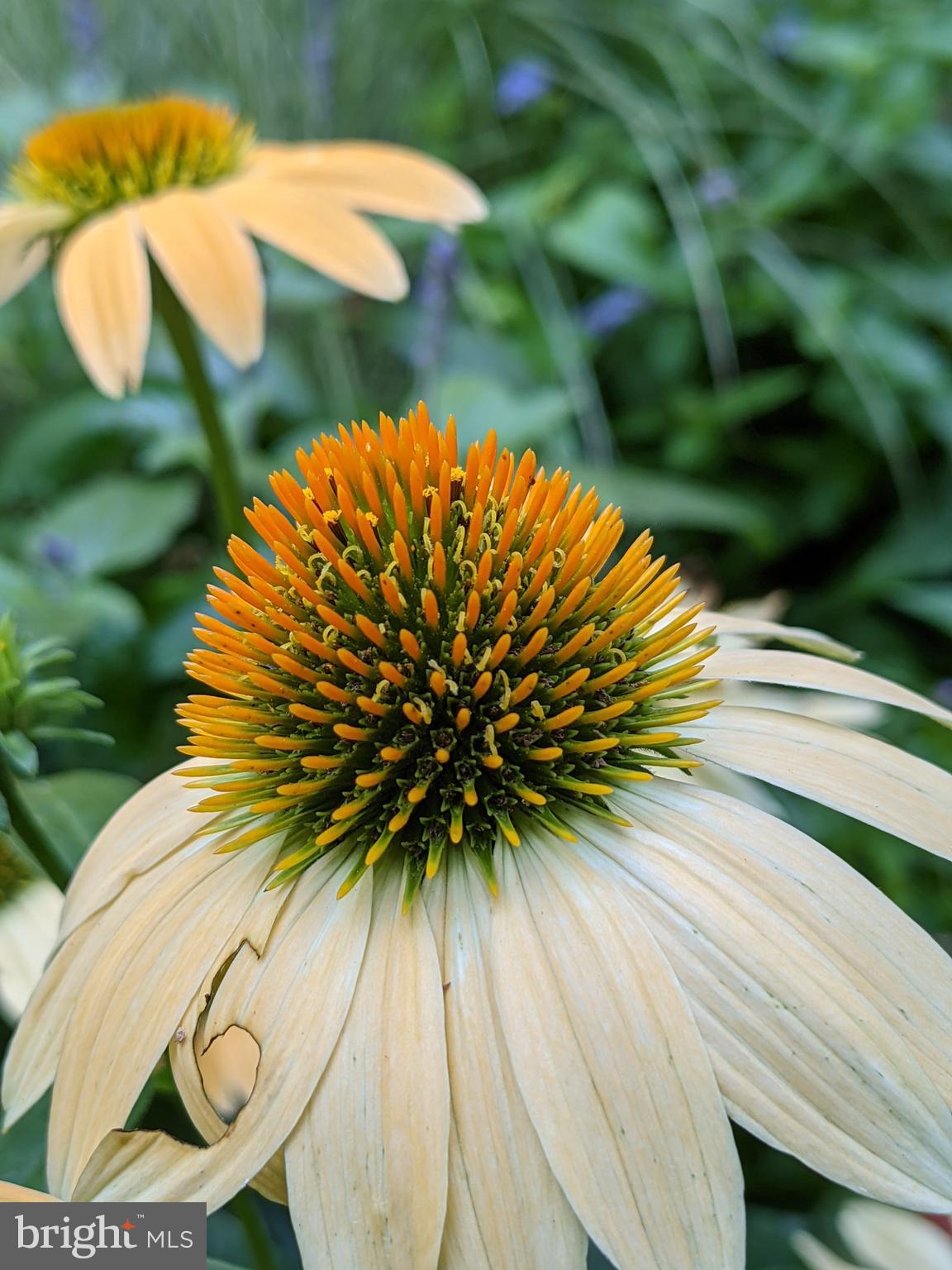 BARKER HILL - Residential