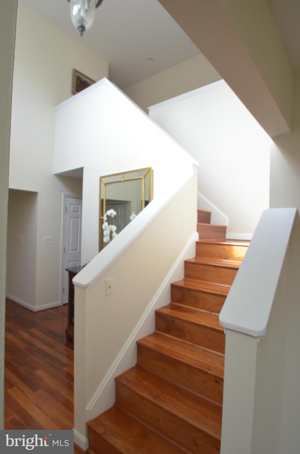 FIVE SPRINGS - Residential