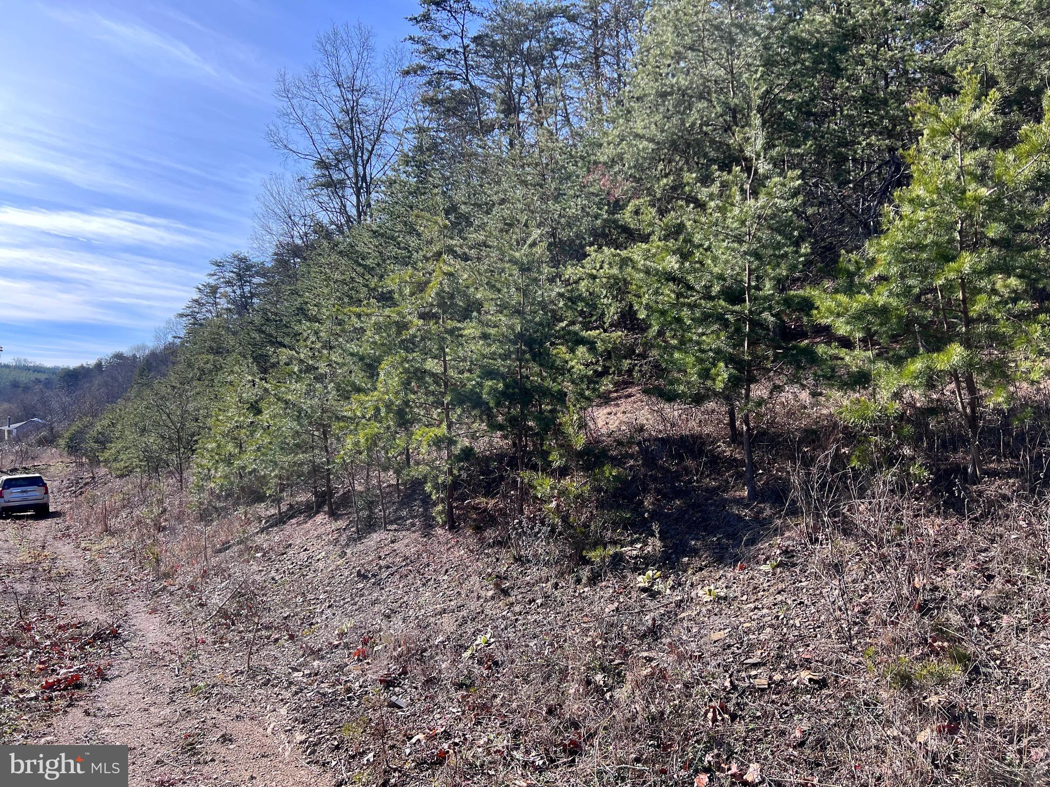 WINCHESTER GRADE ROAD