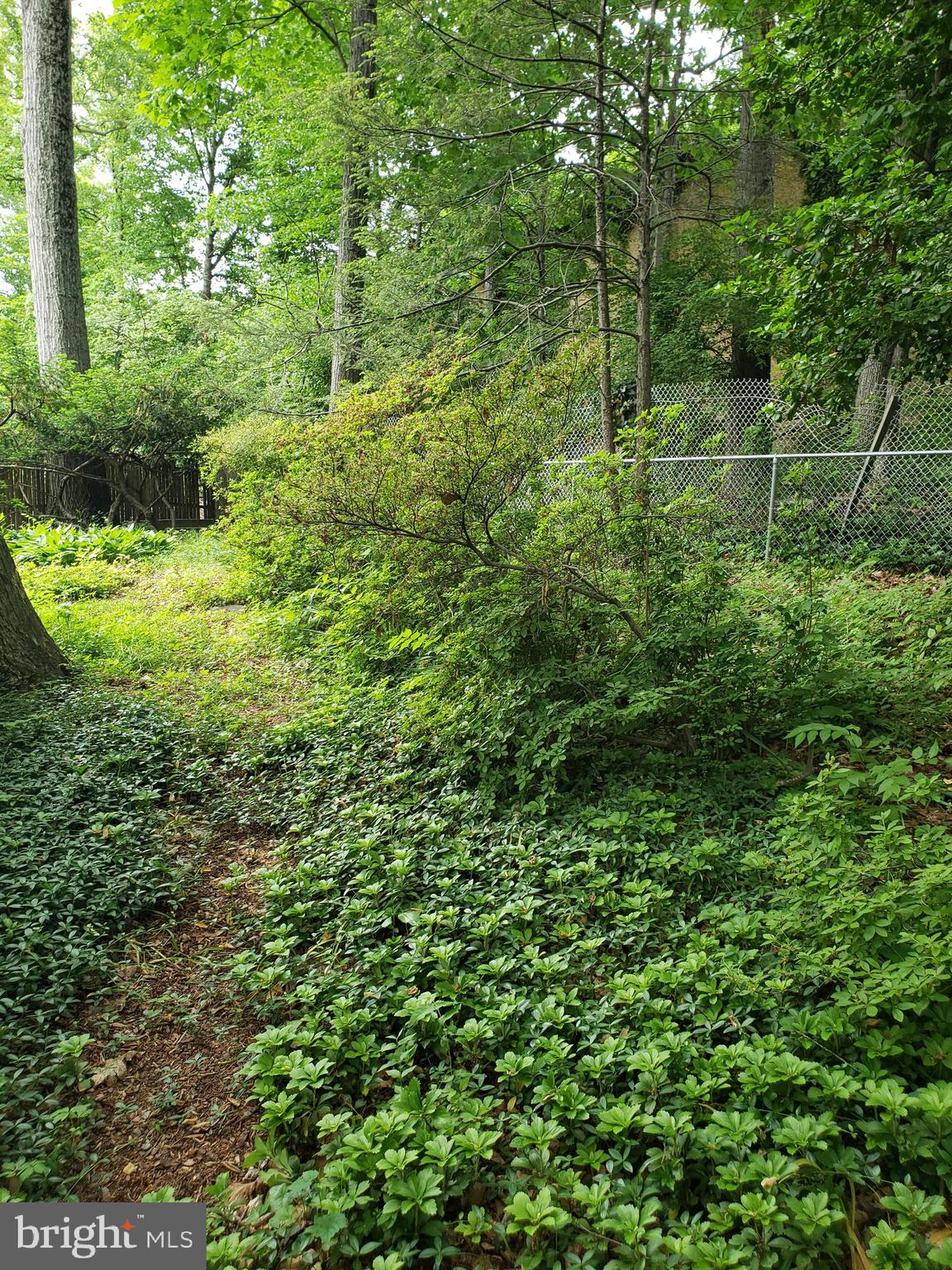 WILDWOOD KNOLLS - Residential