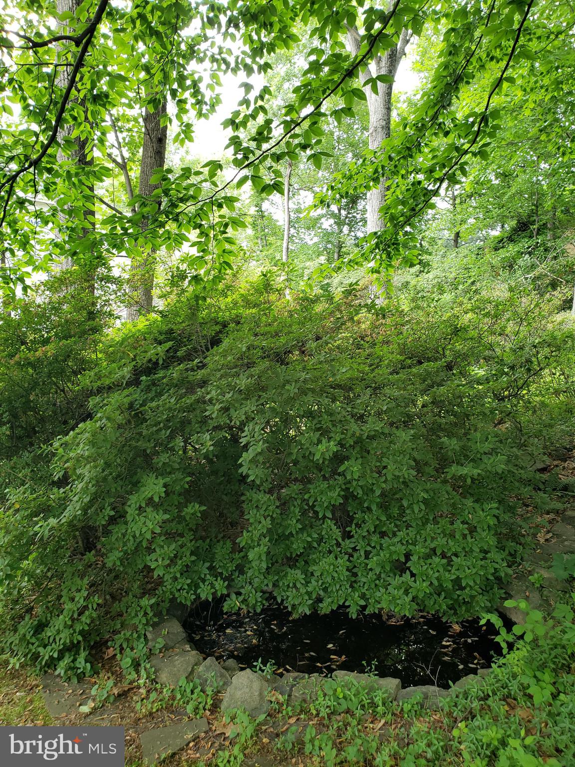 WILDWOOD KNOLLS - Residential