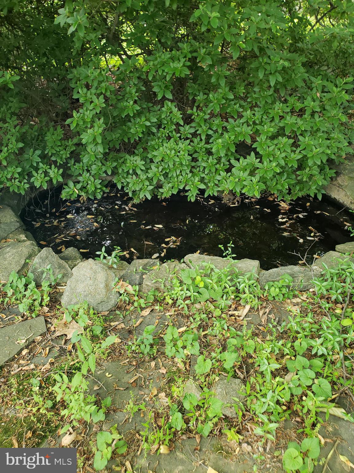 WILDWOOD KNOLLS - Residential