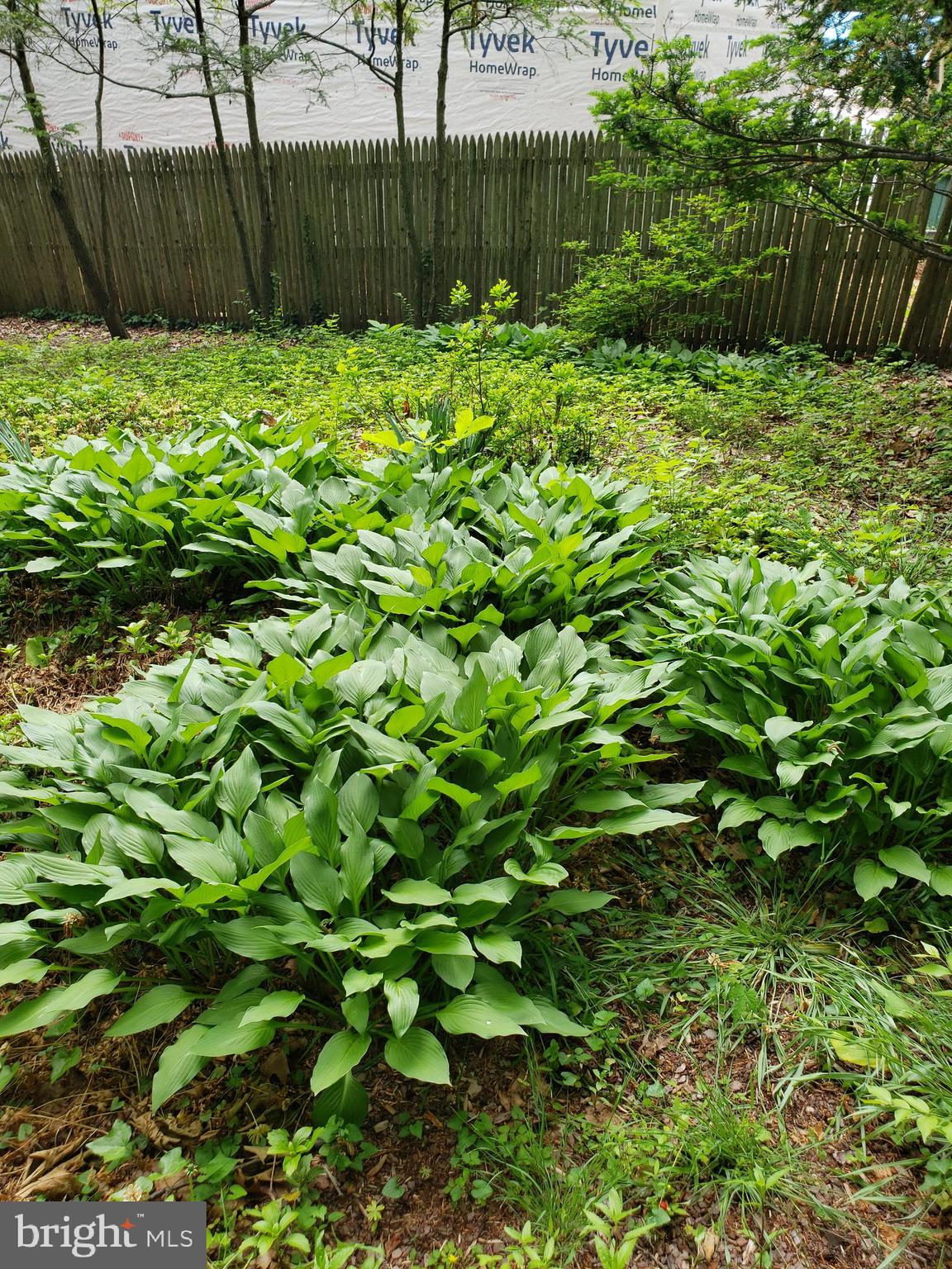 WILDWOOD KNOLLS - Residential