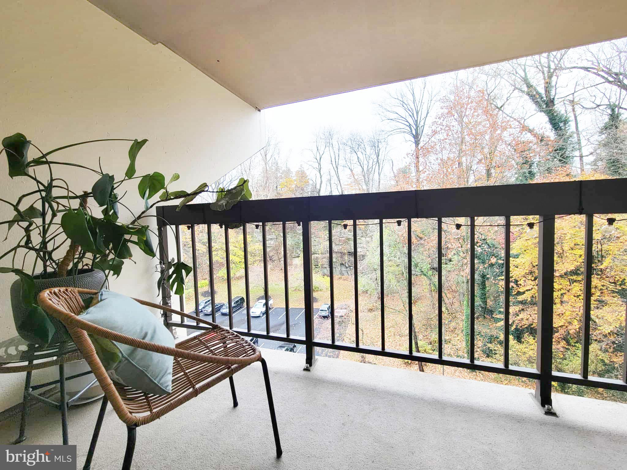 CRUM CREEK VALLEY - Residential