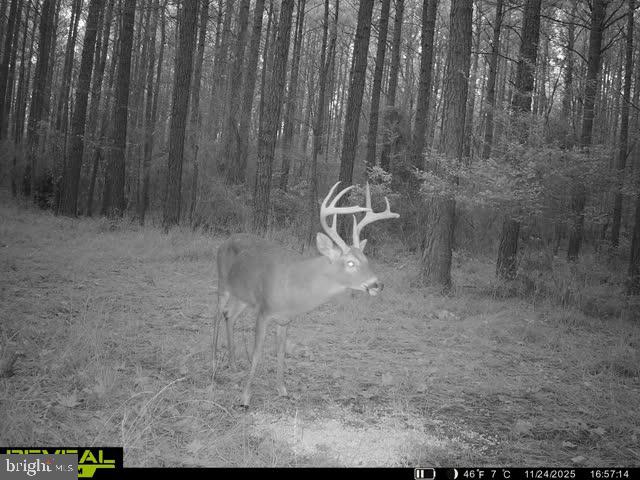 Lot2a CARDINAL DRIVE