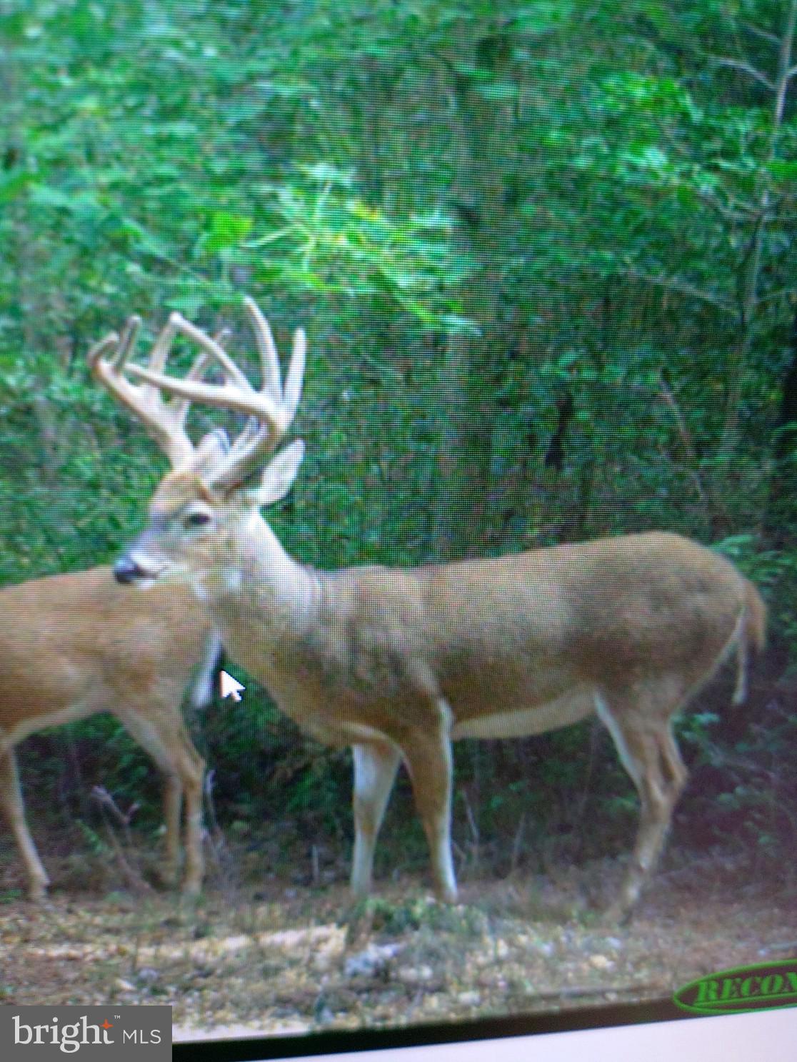 Lot2a CARDINAL DRIVE