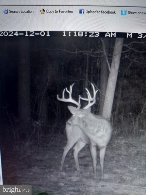 Lot2a CARDINAL DRIVE SALISBURY MD 21801