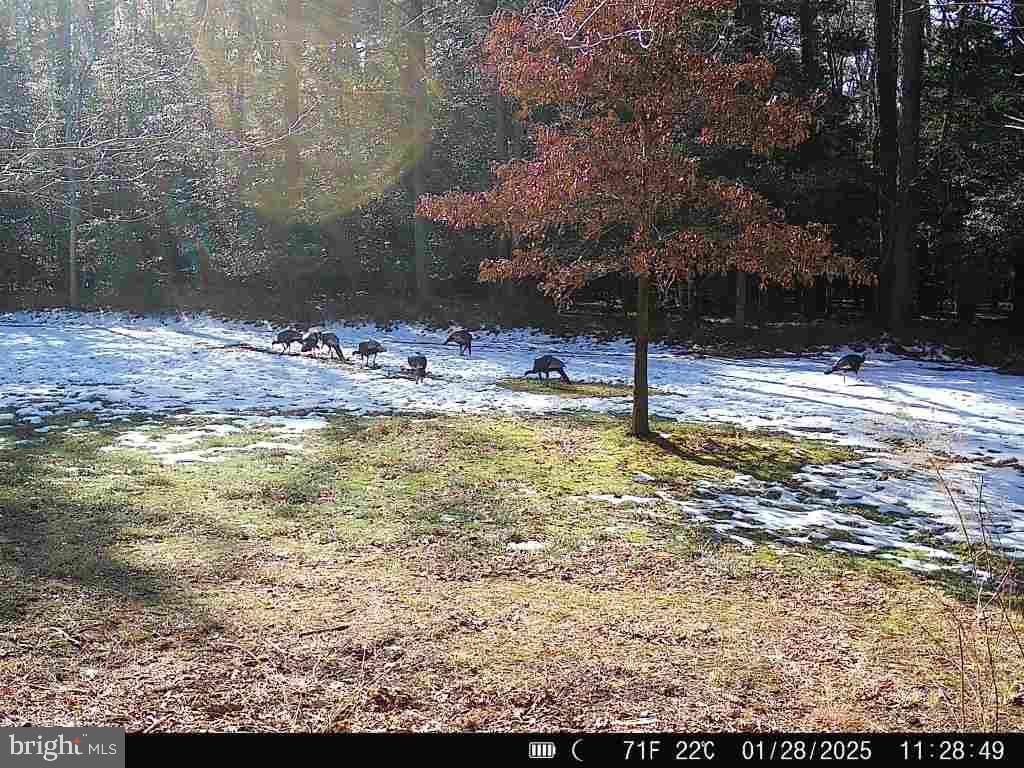 Lot2a CARDINAL DRIVE