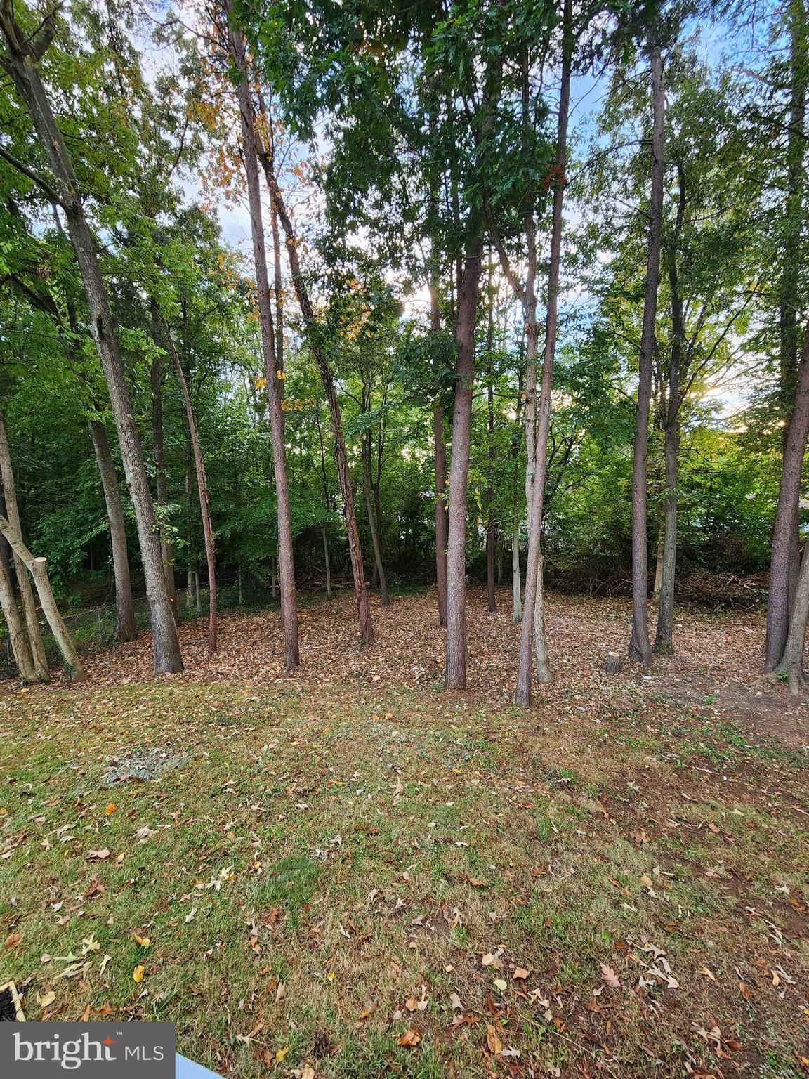 DALEVIEW MANOR - Residential