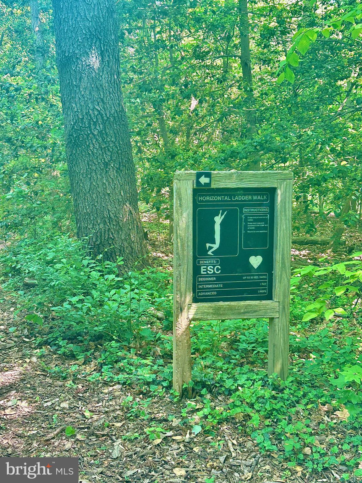 RIVA TRACE - Residential